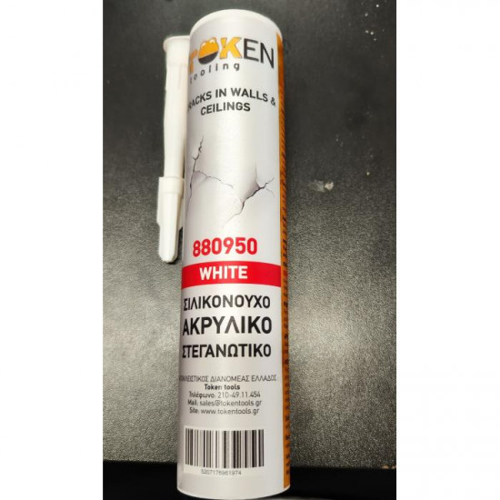 ΣΙΛΙΚΟΝΗ ΑΚΡΥΛΙΚΗ SILICONIZED 260ml TOKEN 