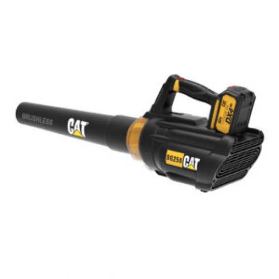 CAT SET ΦΥΣΗΤΗΡΑΣ ΜΠΑΤΑΡΙΑΣ Li-ion 18V 4.0Ah DG250